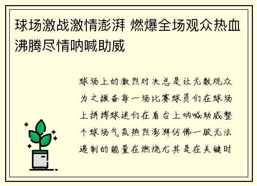 球场激战激情澎湃 燃爆全场观众热血沸腾尽情呐喊助威