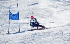 yy易游体育官网-虎父无犬子，克鲁伊维特三子一周内联袂建功，足坛世家再续辉煌